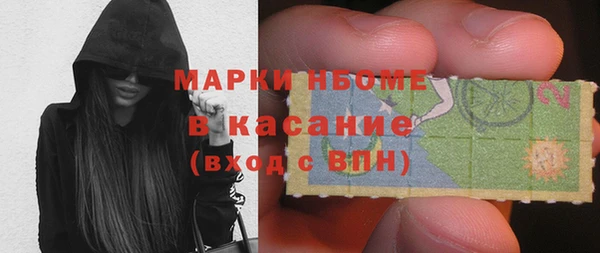 молекула духа Богородицк