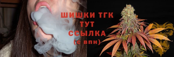 дмт Богородск