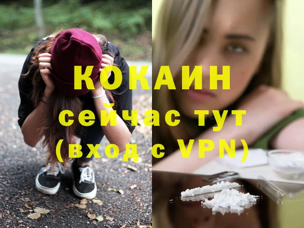 дмт Богородск