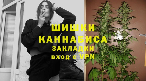 дмт Богородск