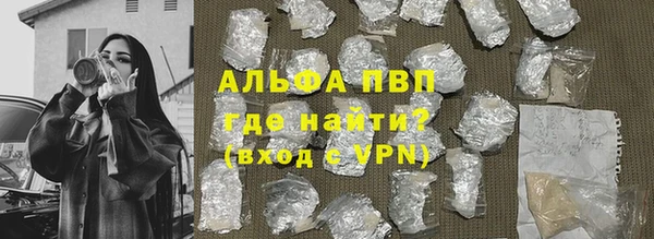 молекула духа Пестово