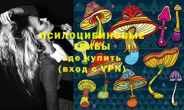 бошки Богданович
